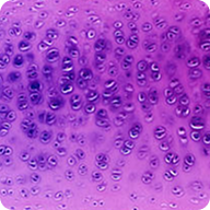 RMI Health image